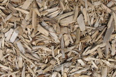 biomass boilers Minterne Parva