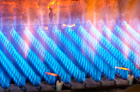 Minterne Parva gas fired boilers